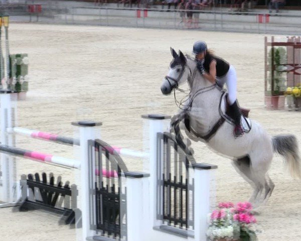 Reitturnier Ingolstadt-Hagau/Obb. 2025