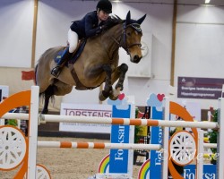 jumper Harley Davidson (Swedish Warmblood, 2011, from Hip Hop)
