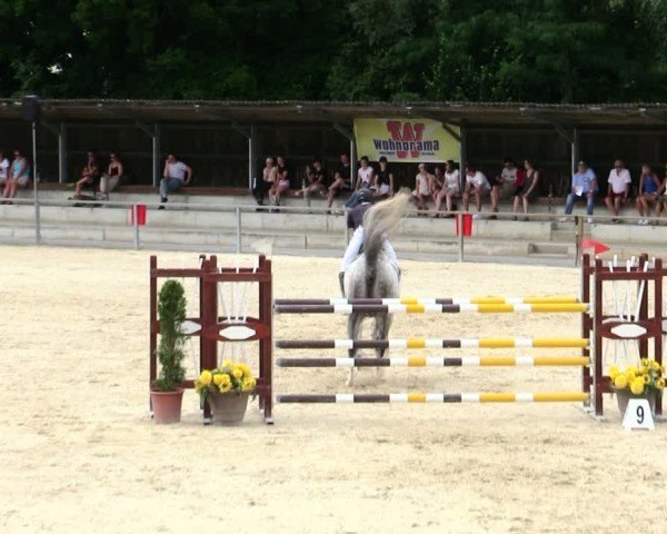 Reitturnier Ingolstadt-Hagau/Obb. 2025