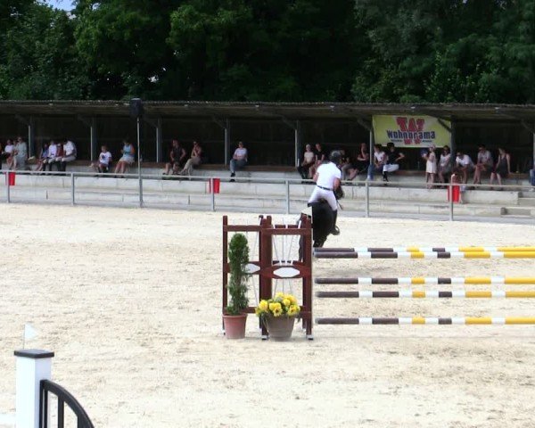 Reitturnier Ingolstadt-Hagau/Obb. 2025