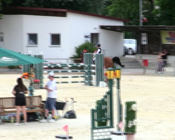 Reitturnier Ingolstadt-Hagau/Obb. 2025