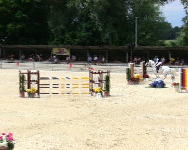 Reitturnier Ingolstadt-Hagau/Obb. 2025