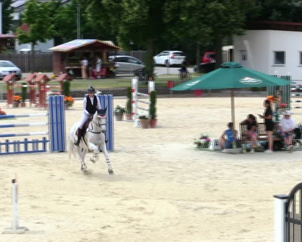 Reitturnier Ingolstadt-Hagau/Obb. 2025