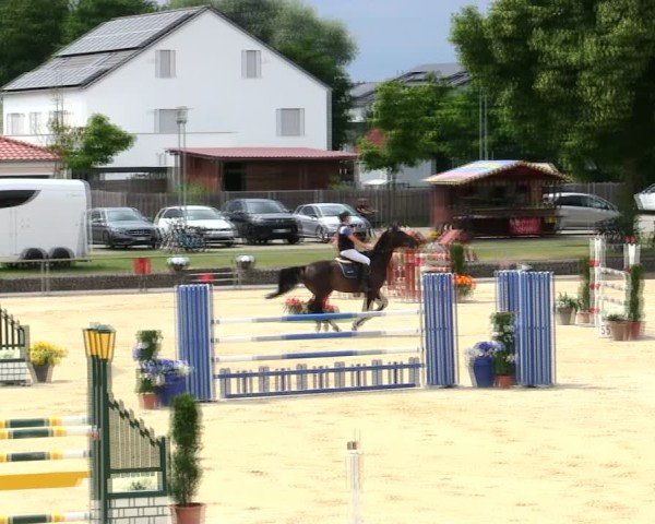 Reitturnier Ingolstadt-Hagau/Obb. 2025