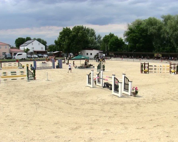 Reitturnier Ingolstadt-Hagau/Obb. 2025