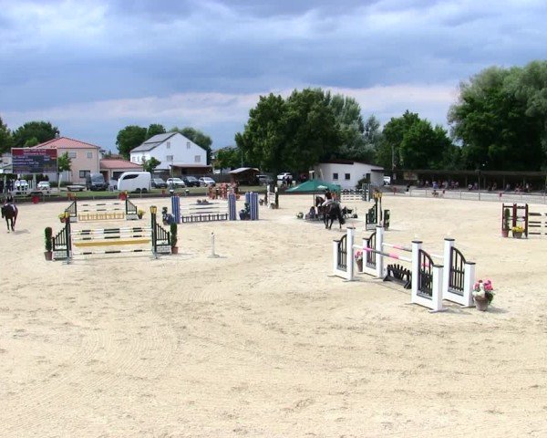 Reitturnier Ingolstadt-Hagau/Obb. 2025