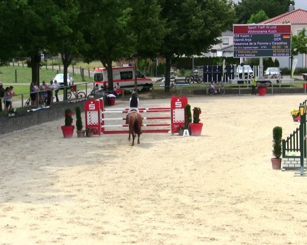 Reitturnier Ingolstadt-Hagau/Obb. 2025