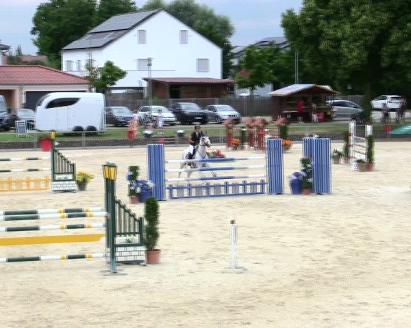 Reitturnier Ingolstadt-Hagau/Obb. 2025