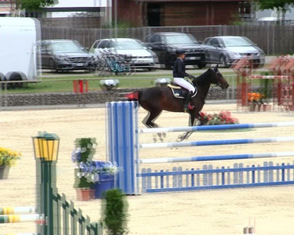 Reitturnier Ingolstadt-Hagau/Obb. 2025
