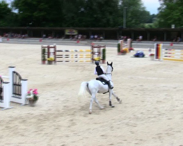 Reitturnier Ingolstadt-Hagau/Obb. 2025