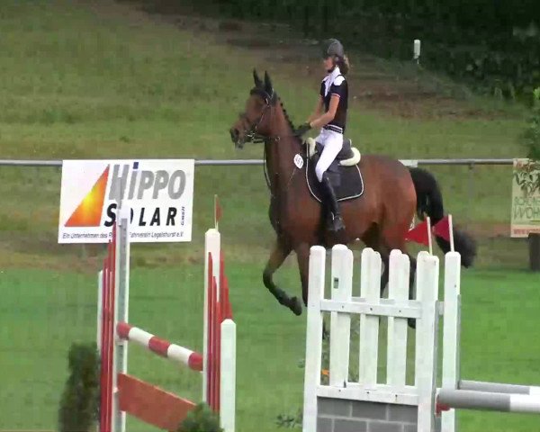 Sommerturnier Legelshurst 2014