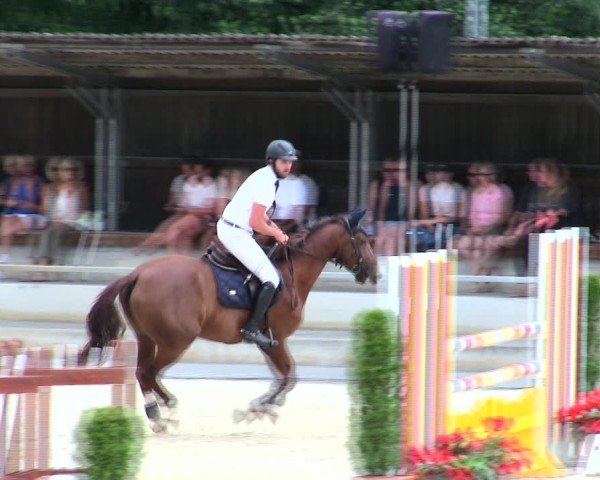 Reitturnier Ingolstadt-Hagau/Obb. 2025