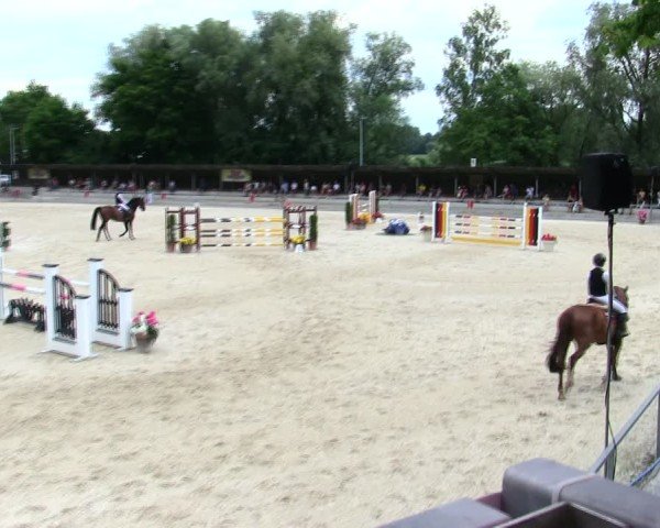 Reitturnier Ingolstadt-Hagau/Obb. 2025