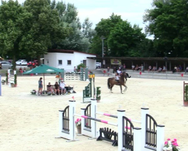 Reitturnier Ingolstadt-Hagau/Obb. 2025