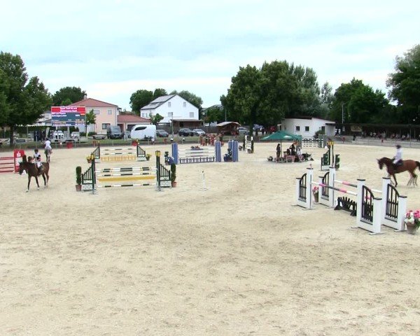Reitturnier Ingolstadt-Hagau/Obb. 2025