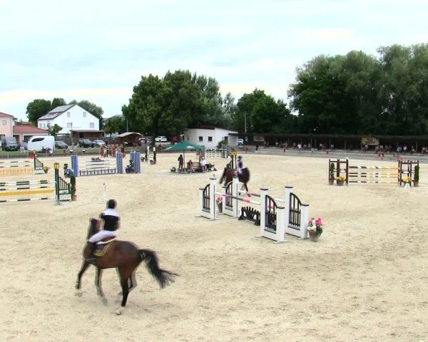 Reitturnier Ingolstadt-Hagau/Obb. 2025