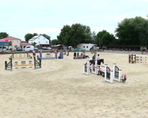 Reitturnier Ingolstadt-Hagau/Obb. 2025