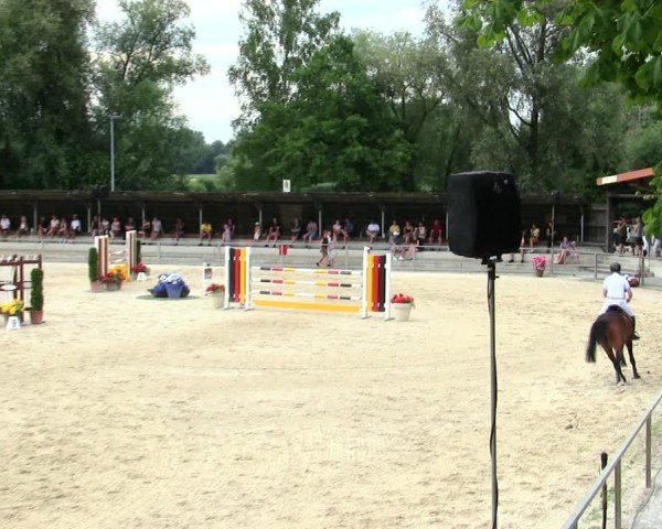 Reitturnier Ingolstadt-Hagau/Obb. 2025