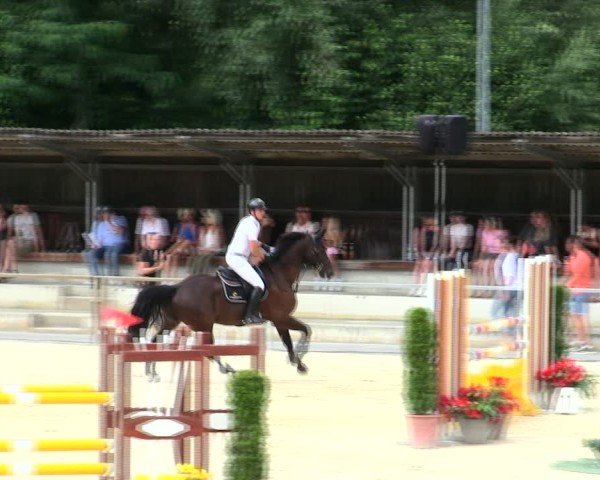 Reitturnier Ingolstadt-Hagau/Obb. 2025