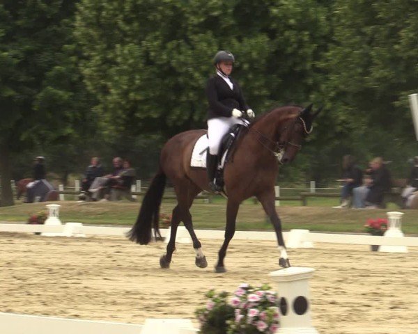 Reitturnier Münster-Roxel 2025