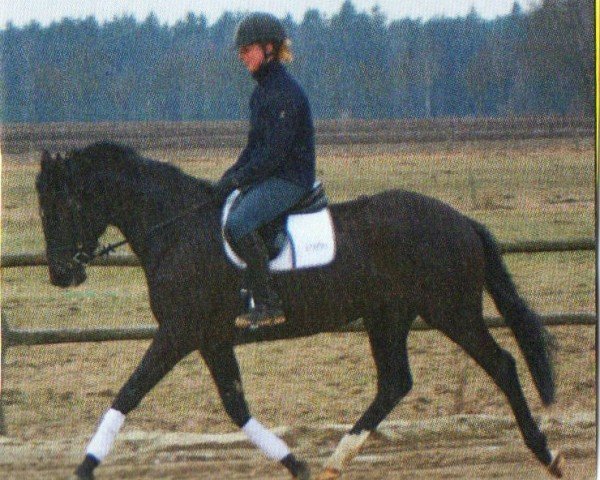 broodmare Elise (Trakehner, 2007, from Imperio 3)