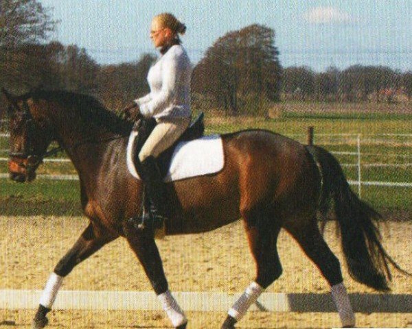 horse Karla (Hanoverian, 2006, from King Arthur TSF)