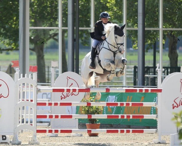 jumper Lord (KWPN (Royal Dutch Sporthorse), 2016, from Grand Slam VDL)