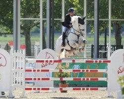 Springpferd Lord (KWPN (Niederländisches Warmblut), 2016, von Grand Slam VDL)