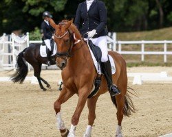 horse Royal Pumpkin (Westphalian, 2021, from Revolution)