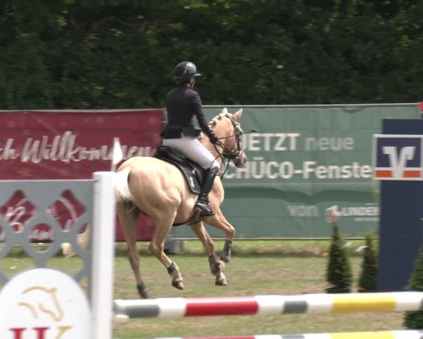 Reitturnier Wohlesbostel 2025