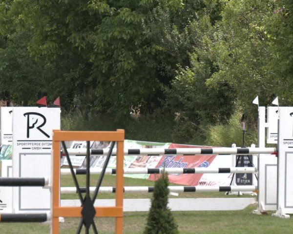 Reitturnier Wohlesbostel 2025