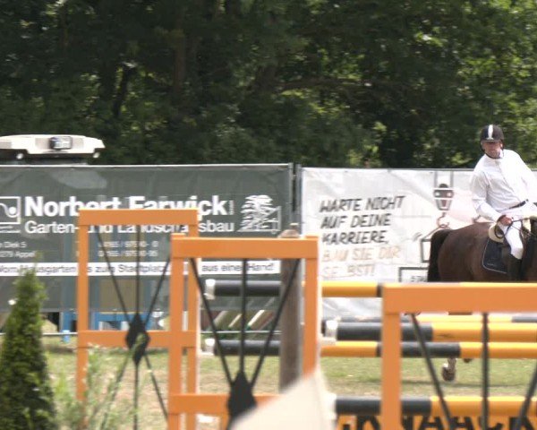 Reitturnier Wohlesbostel 2025