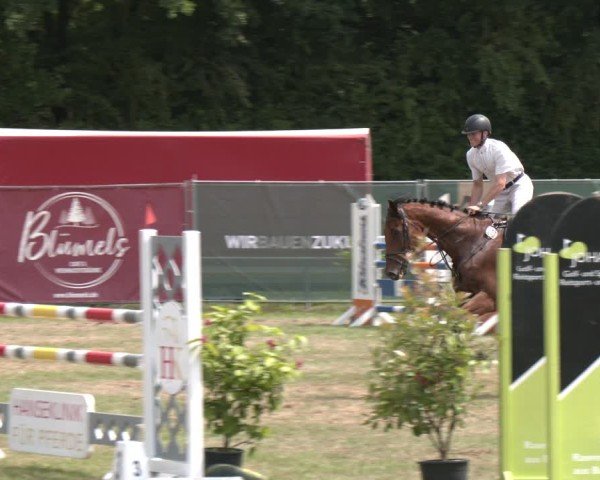 Reitturnier Wohlesbostel 2025
