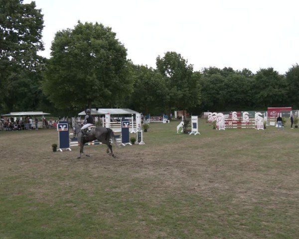 Reitturnier Wohlesbostel 2025