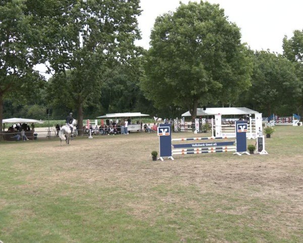 Reitturnier Wohlesbostel 2025