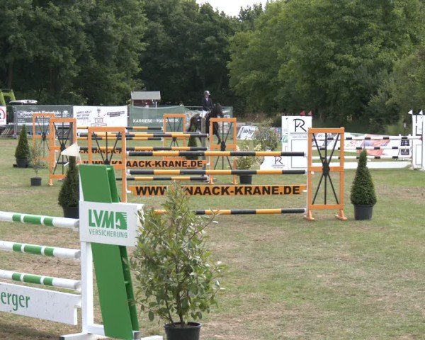 Reitturnier Wohlesbostel 2025