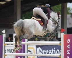 jumper Ona van het Indihof (Belgian Warmblood, 2014, from Deauville van T&L)