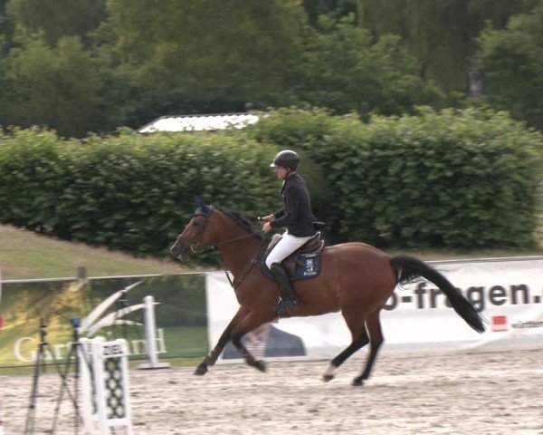 Reitturnier Westergellersen 2025