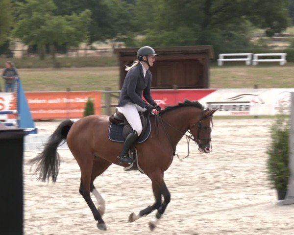 Reitturnier Westergellersen 2025