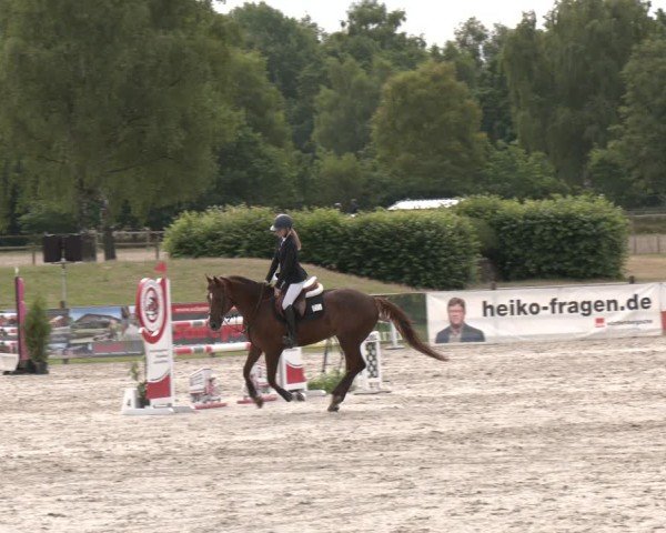 Reitturnier Westergellersen 2025