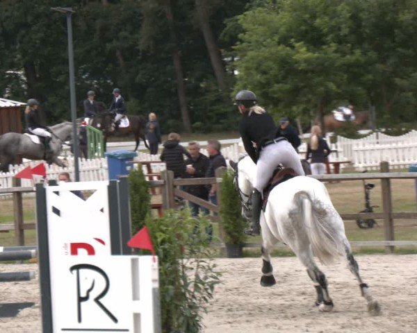 Reitturnier Westergellersen 2025