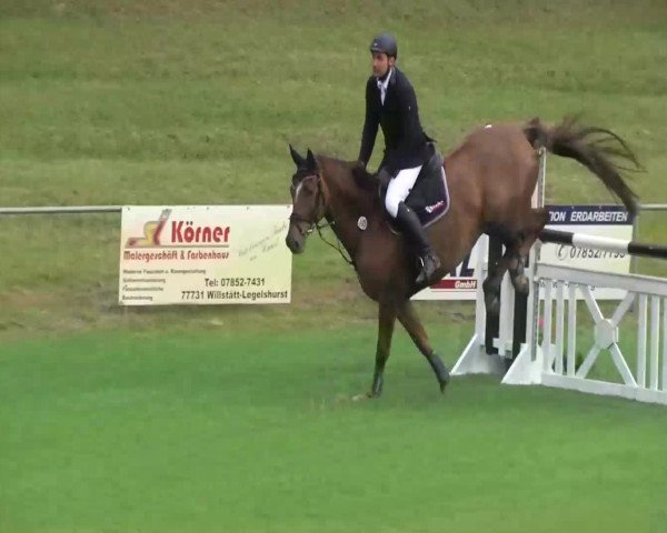 Sommerturnier Legelshurst 2014