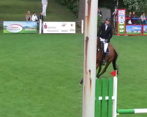Sommerturnier Legelshurst 2014