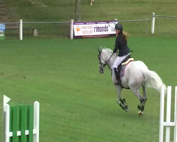 Sommerturnier Legelshurst 2014