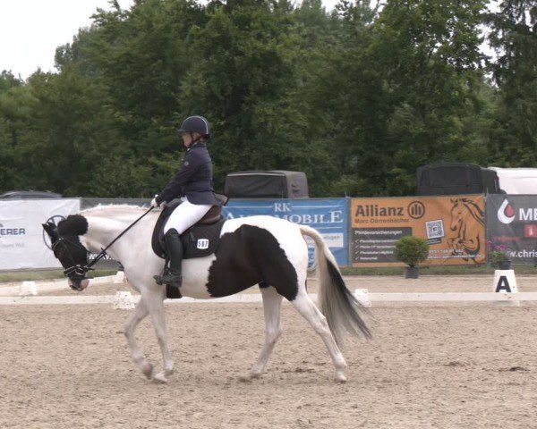 Reitturnier Heiligenwald 2025