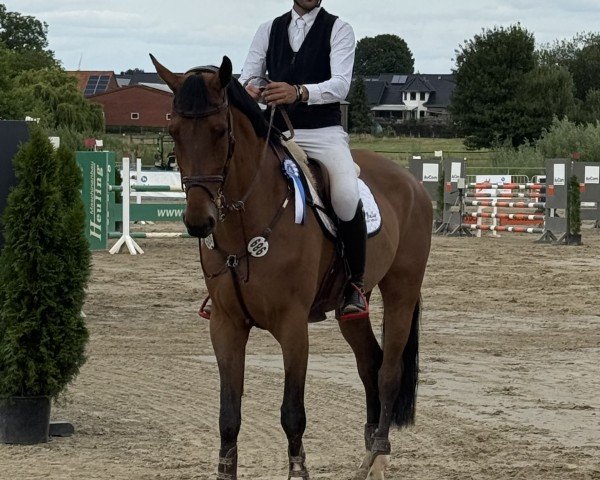 jumper Diamant de Cornet GA (Holsteiner, 2020, from Diamant de Plaisir 178 FIN)