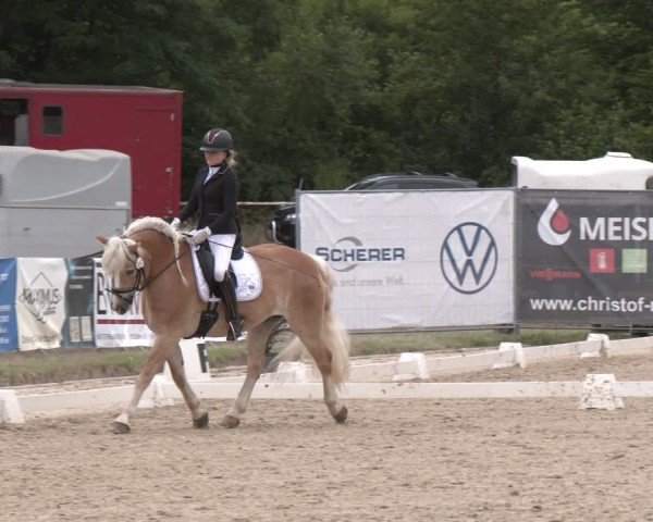 Reitturnier Heiligenwald 2025