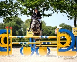 jumper Hilda M (Oldenburg, 2018, from Hickstead White)