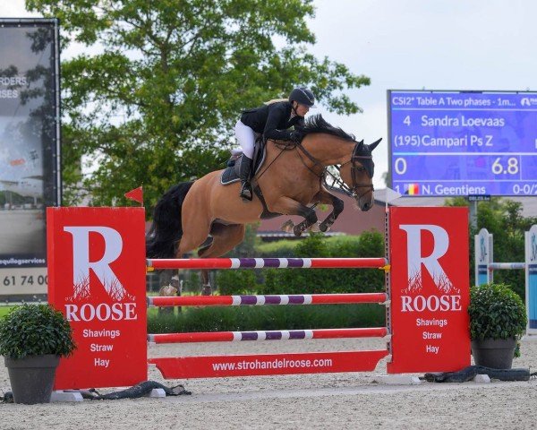 jumper Campari PS Z (Zangersheide riding horse, 2014, from Crowntano Z)