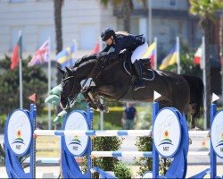 jumper Logan (KWPN (Royal Dutch Sporthorse), 2016, from Arezzo VDL)